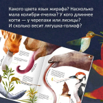 Самые удивительные животные в натуральную величину