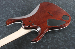 Ibanez RGA Series RGA42FMDEF