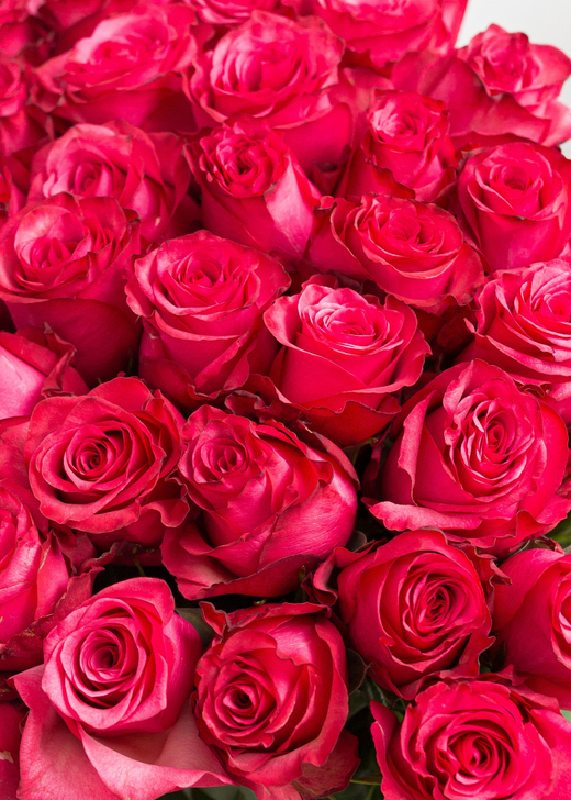 Букет из розовых роз #51