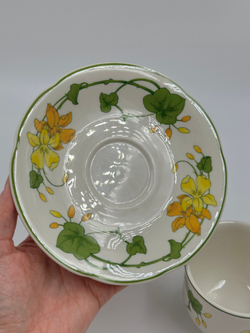 Чайная пара Villeroy & Boch, Geranium