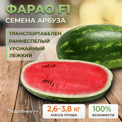 ФАРАО F1 семена арбуза (Syngenta | Alexagro)