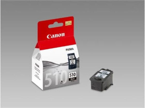 Картридж струйный черный 1 шт Canon CCICTO0243 2970B001