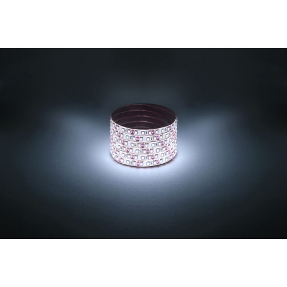 Светодиодная лента ЭРА LS2835-9,6-120-12-6500K-IP65-1 year-5m холодный белый 1 год