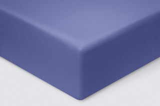 Простыня на резинке Моноспейс синяя