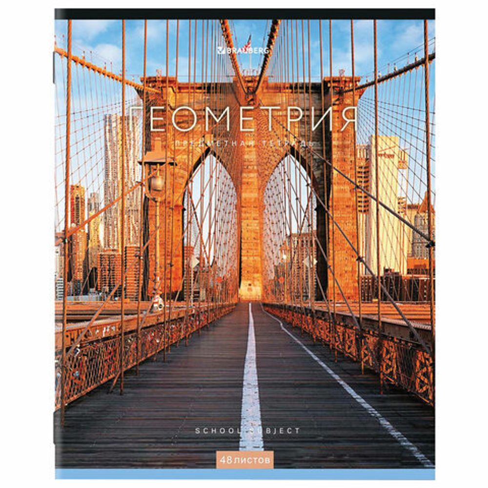 Тетрадь предметная "КЛАССИКА NEW" 48 л., обложка картон, ГЕОМЕТРИЯ, клетка, BRAUBERG, 404241