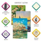 Тетради 40 л. в точку обложка SoftTouch, НАБОР 3 шт., бежевая бумага 70 г/м2, сшивка, А5 (147х210 мм), MASTERPIECE, BRAUBERG, 403802