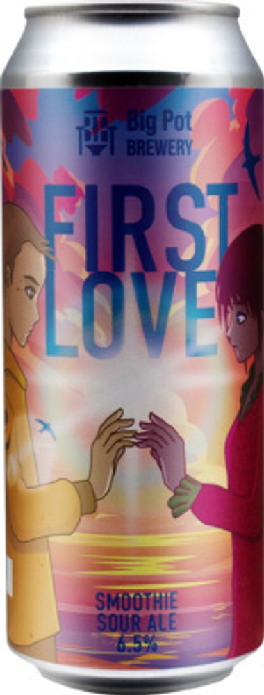 Пиво Биг Пот Фёст Лав: Распберри Эд / Big Pot First Love: Raspberry Ed 0.5 - банка