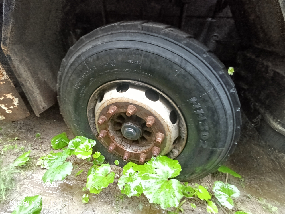 Shacman (Shaanxi) SX* 8x4 Самосвал SX33186W366C (Дизельный, 10,8 л, 441 л.с., МТ)