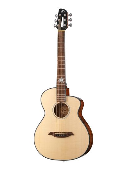 Акустическая гитара, с чехлом, Mollo Guitar TM-12C