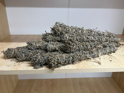 Скрутки из Полыни набор 10 шт