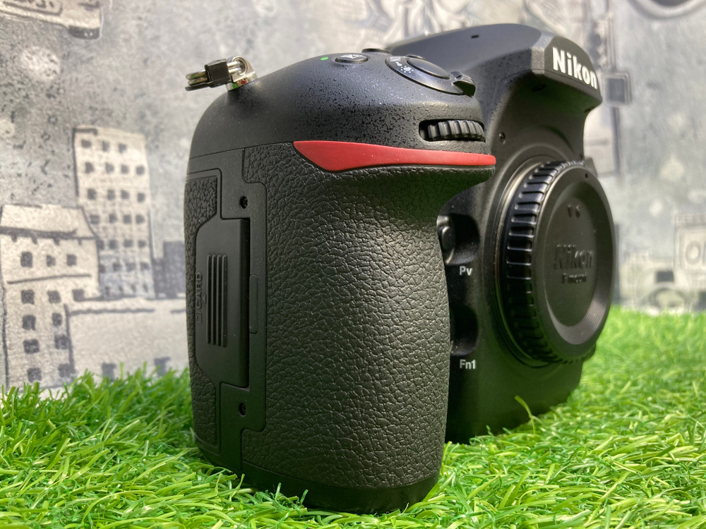 Nikon D850 (25.100 кадров)