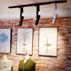 Трековый светильник Arte Lamp