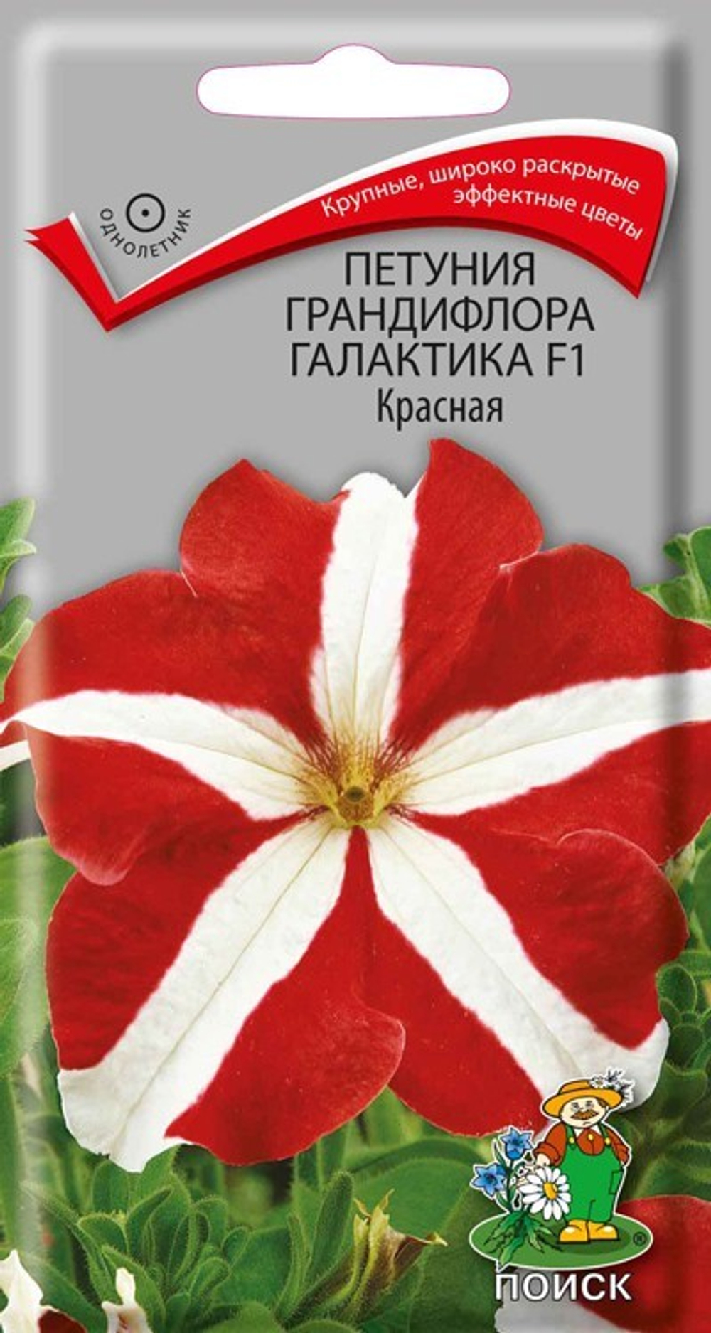 Петуния Галактика Красная F1 грандифлора 10шт Поиск