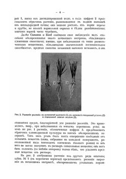 К вопросу о корневых выделениях в связи с почвоутомлением | Д.Н. Прянишников