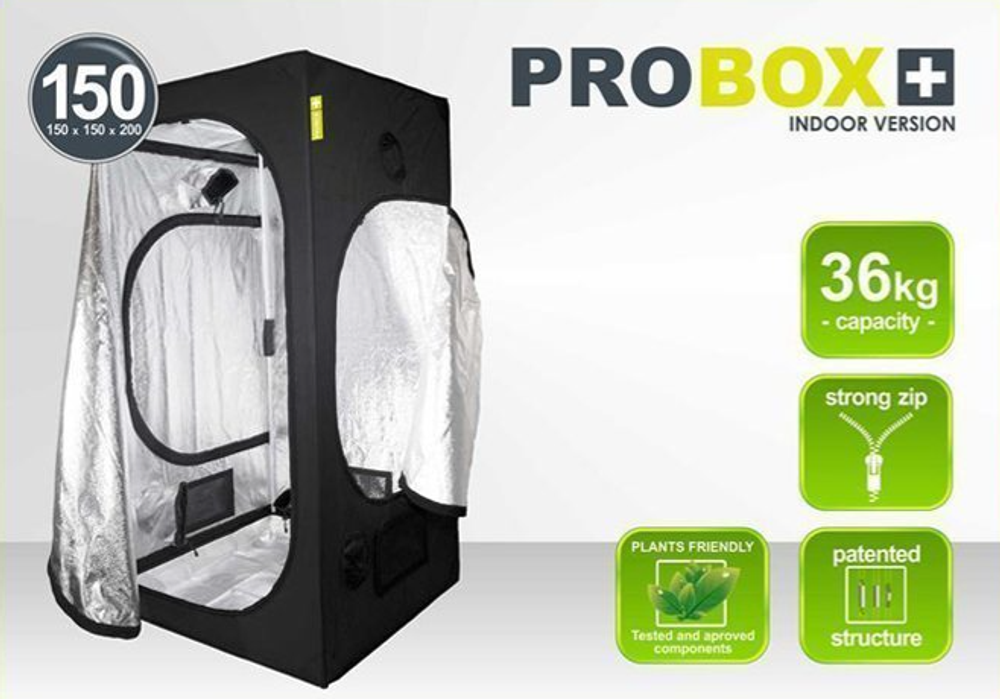 PROBOX BASIC