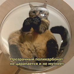 Лежанка настенная "сфера"