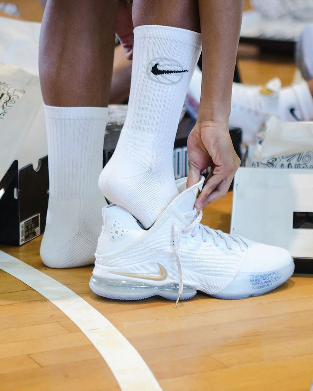Кроссовки Nike Lebron 19