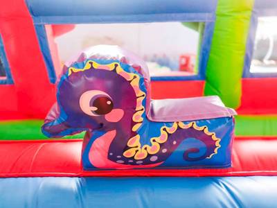 Коммерческий надувной батут «Крабиссимо» 11*9*7 м