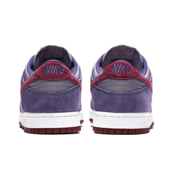 Кроссовки Nike Dunk Low Retro Vol. 1 SP 'Plum' CU1726-500