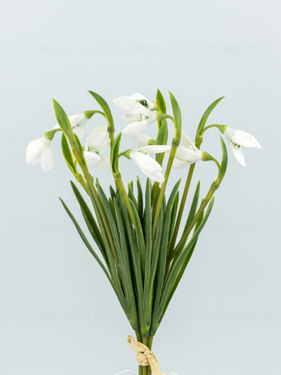 Срез подснежника силикон