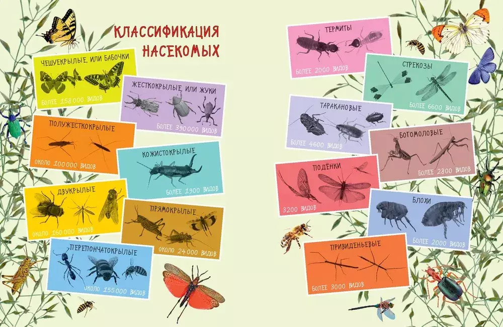 такие незнакомые эти насекомые