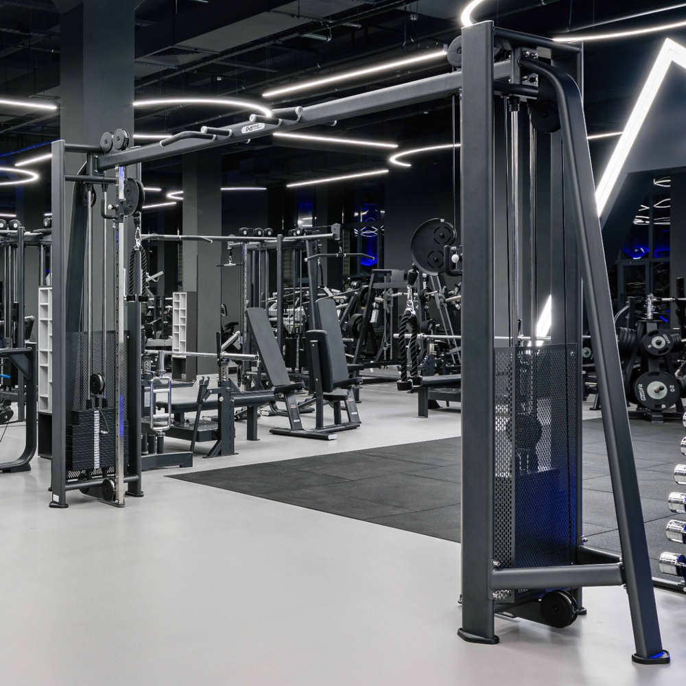 E7016 Кроссовер с изменением высоты. Стек 2x110 кг