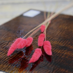 витражное стекло коричневого цвета в листах купить с доставкой по всей России