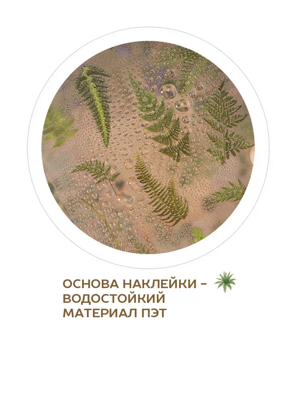 Наклейки флора на прозрачном фоне растения Папоротник