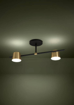 Потолочный светильник Eglo ALTAMIRA 39983