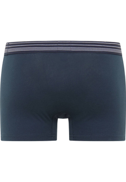 Трусы ( набор 3 шт. ) мужские MUSTANG Mustang Palm retro 3 pc pack