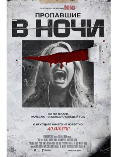 Пропавшие в ночи (2023) (DVD-R)