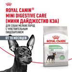 Royal Canin Mini Digestive Care Мини Дайджестив кэа Корм сухой для взрослых собак мелких пород с чувствительным пищеварением 3кг