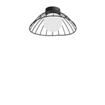 Ceiling design lamp   (Black)Liushi