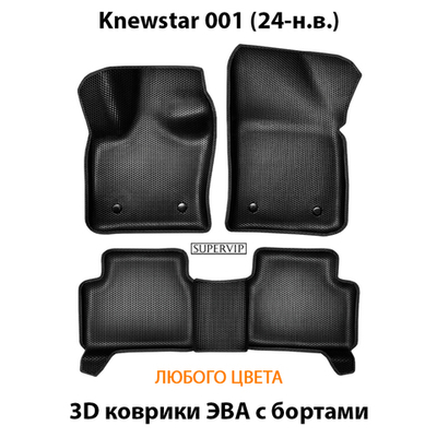 Автомобильные коврики ЭВА с бортами для Knewstar 001 (24-н.в.)