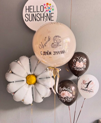 Набор шаров на 1 сентября №7