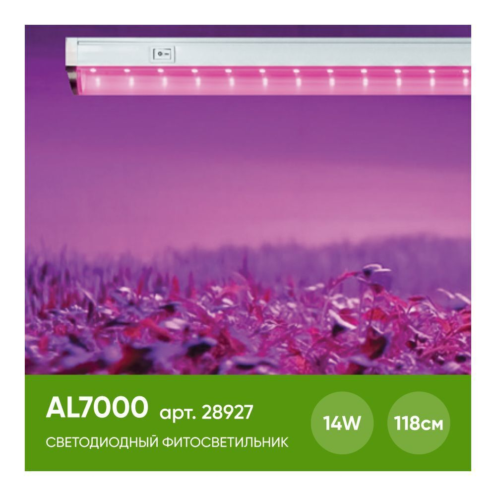 AL7000