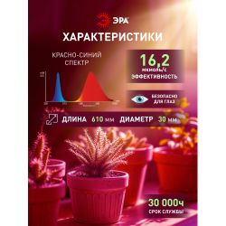 Лампа светодиодная ЭРА RED LINE LED P45-8W-827-E14 R 8Вт шар теплый белый свет E14 | Лампы cветодиодные Шар (G/P)