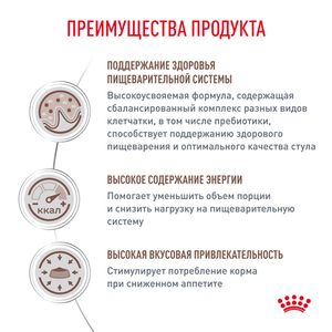 Корм для кошек, Royal Canin Gastro Intestinal GI32 Feline, при нарушении пищеварения