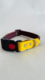 Ошейник для собак из биотана , 25 мм , 35-55 см . Клетка и салатовый