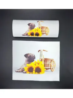 Футляр для очков