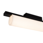 Потолочный светодиодный светильник Freya Even FR5625CL-L20B