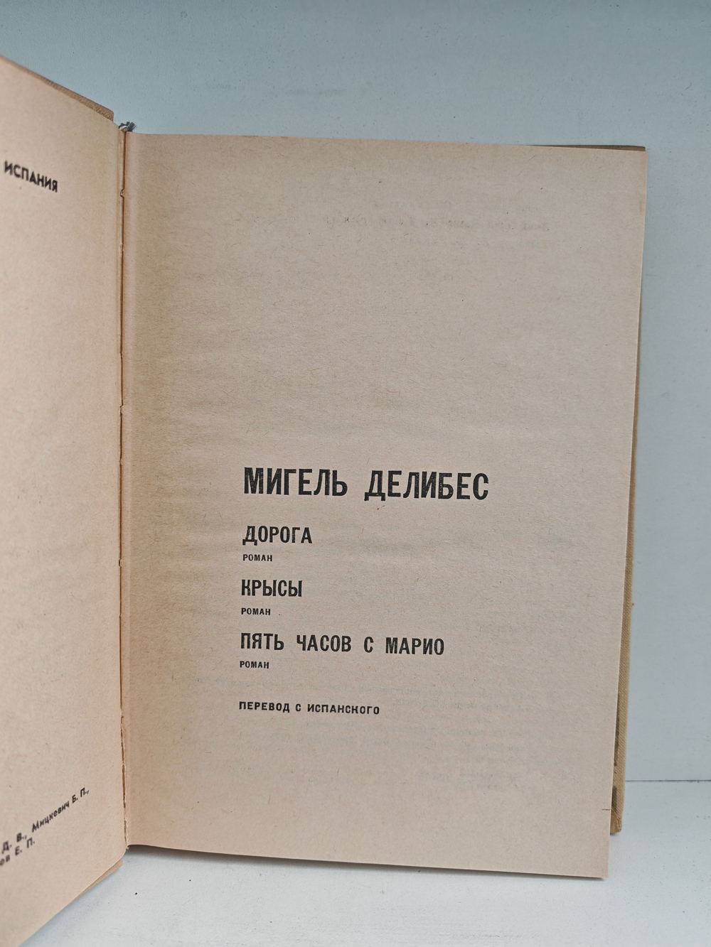 Дорога. Крысы. Пять часов с Марио