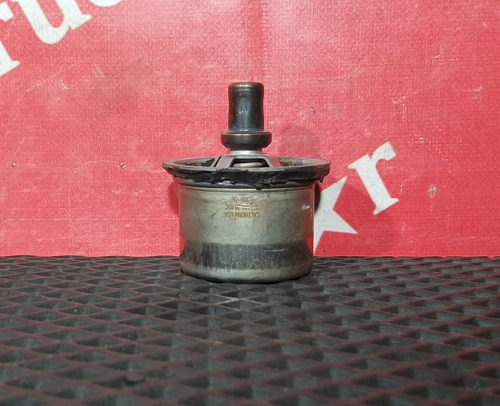 Термостат 2019г