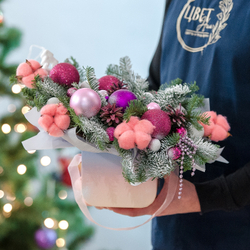 Оригинальная новогодняя композиция с нобилисом и хлопком