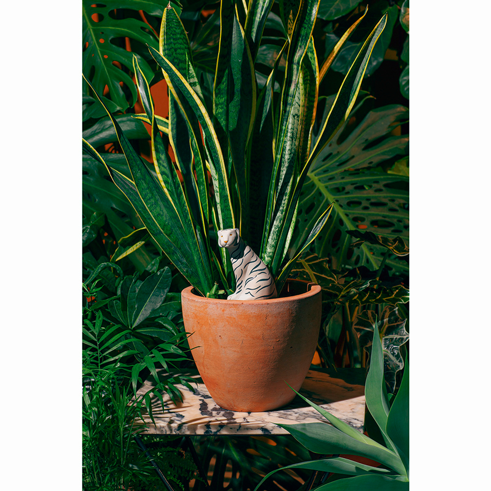 Фигурка с функцией полива для растений jangal tiger