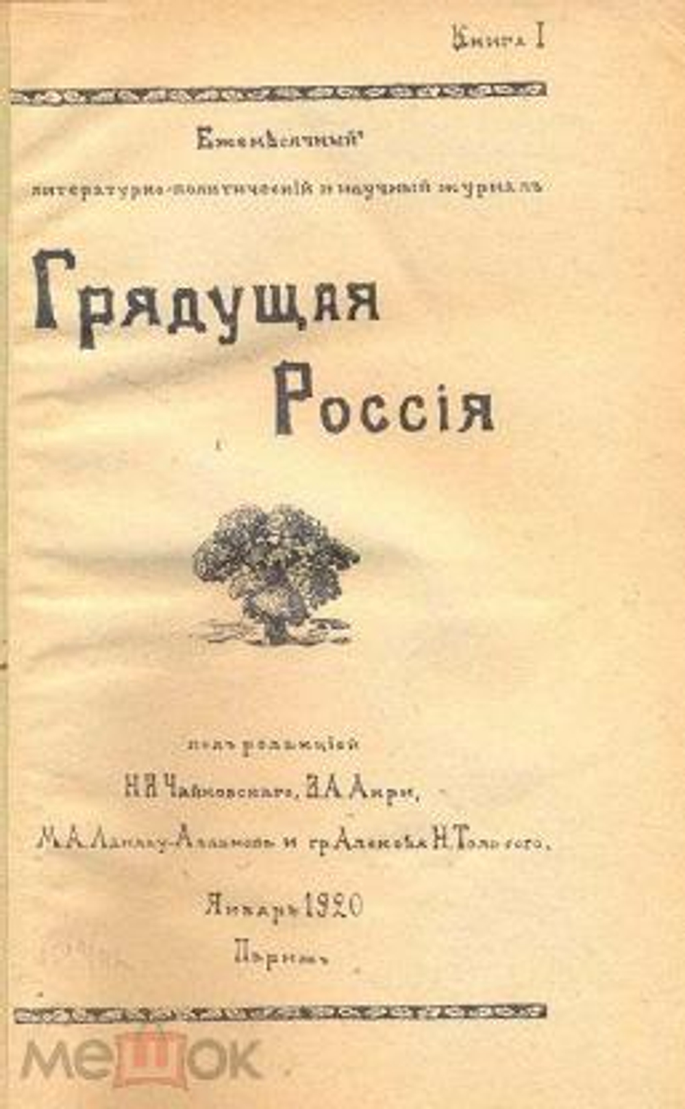 Грядущая Россия, как национальная Россия! Брошюра.