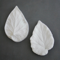 Вайнер лист Бегонии