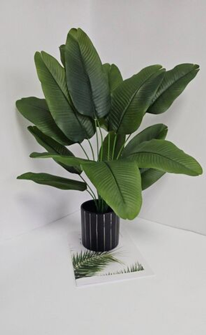 Куст банановой пальмы / Арт 6210