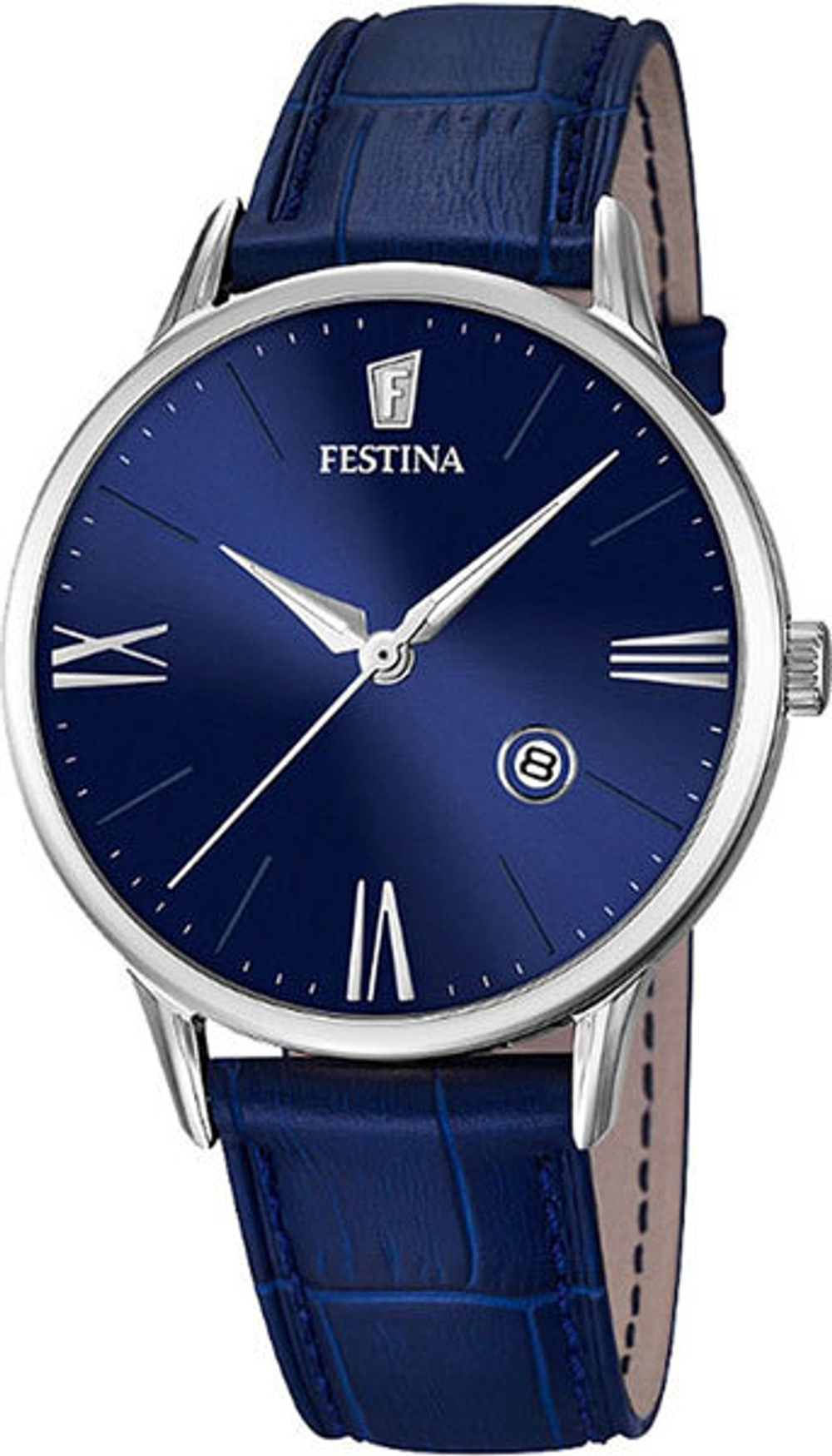 Мужские наручные часы Festina F16824/3