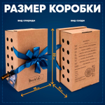 Мягкая игрушка Басик в джинсовой кепке 19 см Ks19-216